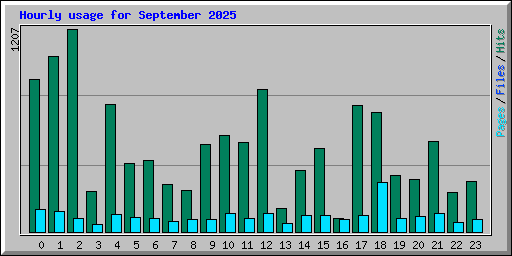 Hourly usage for September 2025